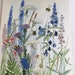 Garden Nature Art Watercolor Painting Botanical Wildflowers by Laurie Rohner.