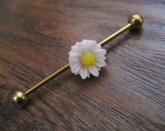 Daisy Industrial Barbell Piercing B ar Gold Tone Titanium 14g 14 G ...