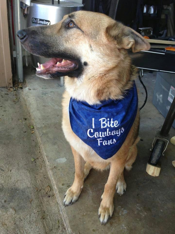I Bite Texans Cowboys Aggies Longhorns Team Dog Bandana Clancy