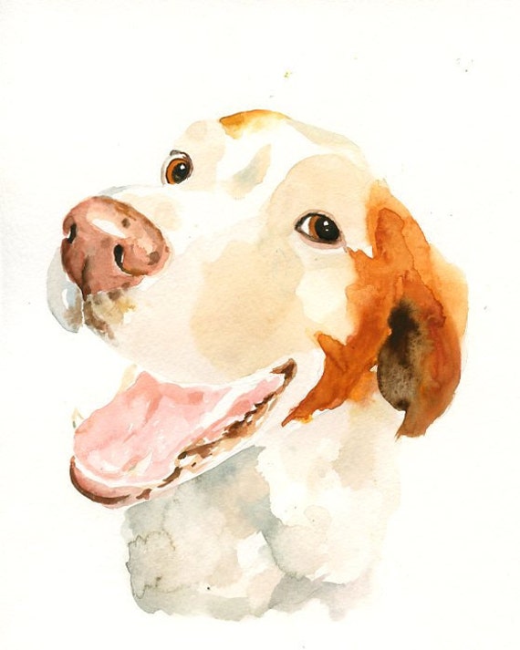 41 Top Pictures Watercolor Pet Portrait - Watercolour Pet Portrait - Three Subjects | Pet portraits ...