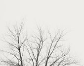 Winter photography 8x8 winter photo snow bokeh wall art nature fine art tree photo winter art modern art