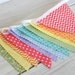Birthday Decoration, Bunting, Fabric Flags, Baby Nursery Decor, Banner, Photography Prop - Rainbow Chevron Damask Dots - Ready to Ship