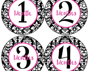 Baby Month Stickers Baby Girl Monthly Stickers Hot Pink and Black Damask Month Stickers Girl Baby Shower Gift and Photo Prop Veronica