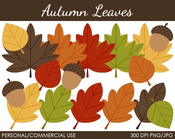 Autumn Leaves Clipart - Digital Clip Art Graphics for Personal or Commercial Use Il_570xn