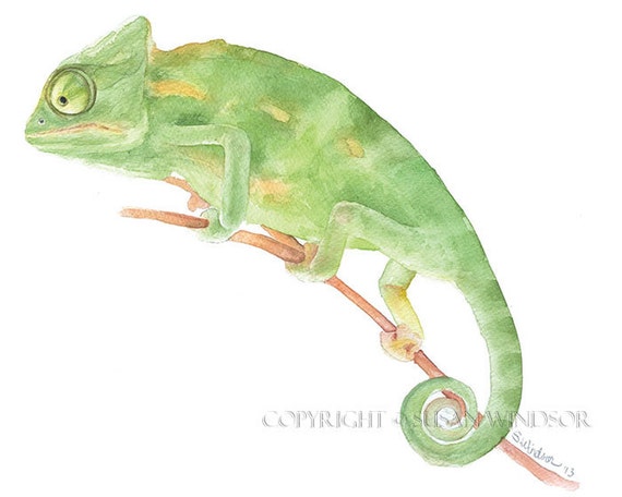 Chameleon Watercolor Painting Giclee Print Fine by SusanWindsor