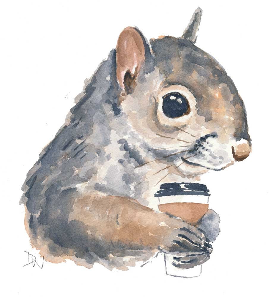 Original Squirrel Watercolour Painting Coffee Squirrel