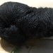 Handspun Black Baby Alpaca Yarn: Little Nyx