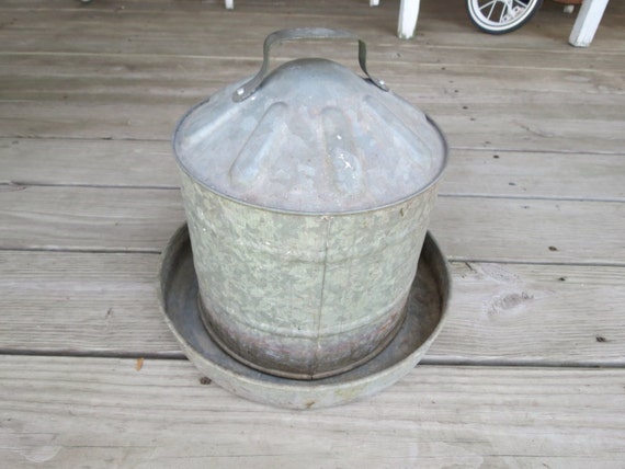 painted galvanized chicken water feeder