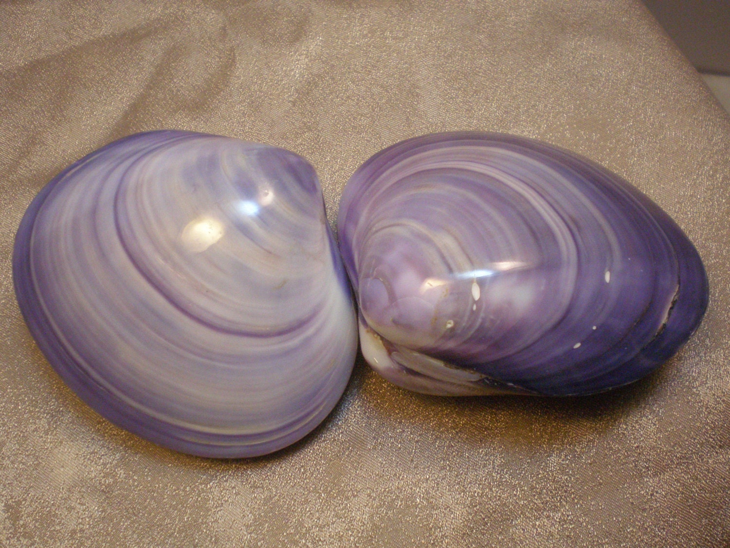 2 Purple Wampum Shell Clams Highly Polished by StarLightChildren
