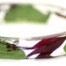 Resin Bangle-Flower Jewelry-Pink Bracelet-Flower Bangle-Jewelry with Real Flowers-Green Jewelry-Green Leaves-Fuchsia Flowers-Pink Jewelry