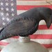 Primitive Crow Poke Make Do