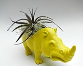Neon Yellow Rhinoceros Planter - Mini Modern Art Air Plant Container