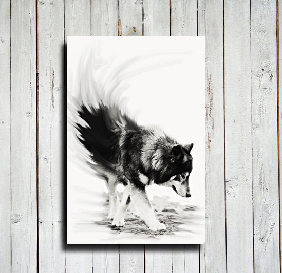 Wolf Black and White wolf decor 16x24 canvas Wolf