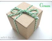 GREEN TWINE- packaging supplies- Peapod Green Twine from the Twinery- string- 25 yards Il_170x135