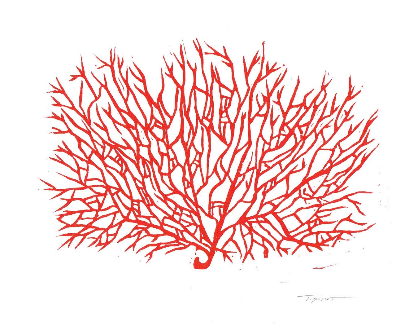 Linocut Print Abstract Sea Fan Coral / 8 x 10 Wall by printwork