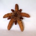 Pine Cone Christmas Tree Topper Natural