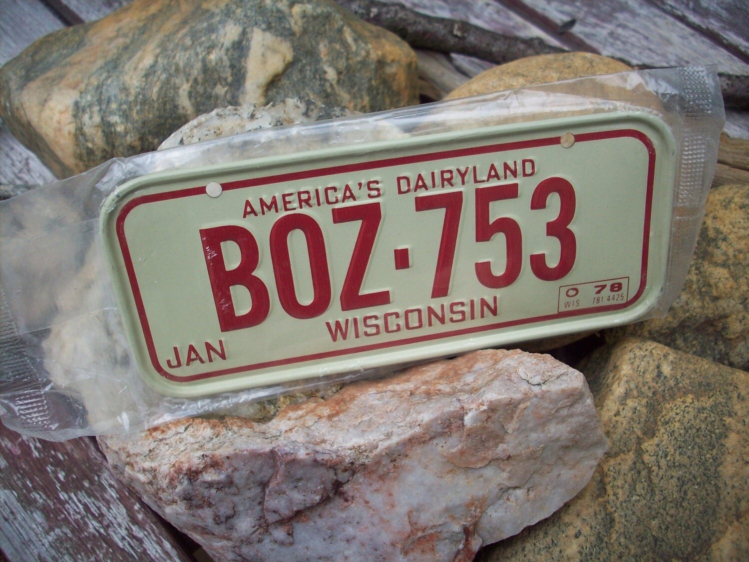 Vintage License Plate Wisconsin 1970's Small Metal License