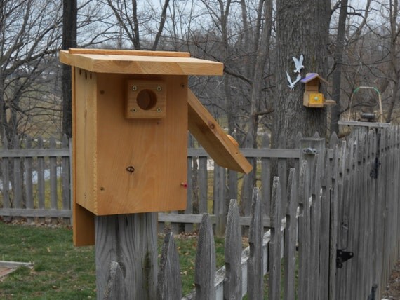 western bluebird nest box by bluebirdshop1 on etsy western bluebird nest box by bluebirdshop1 on etsy