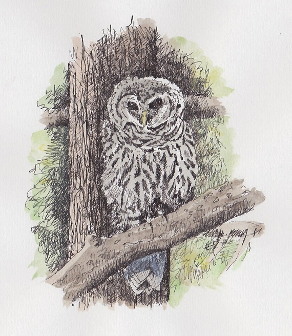 research paper on the northern spotted owl research paper on the northern spotted owl