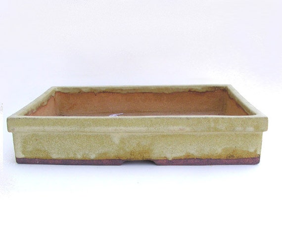 Matte Yellow Rectangle Bonsai  Pot  Shallow Flower Pot 