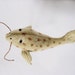 catfish plush