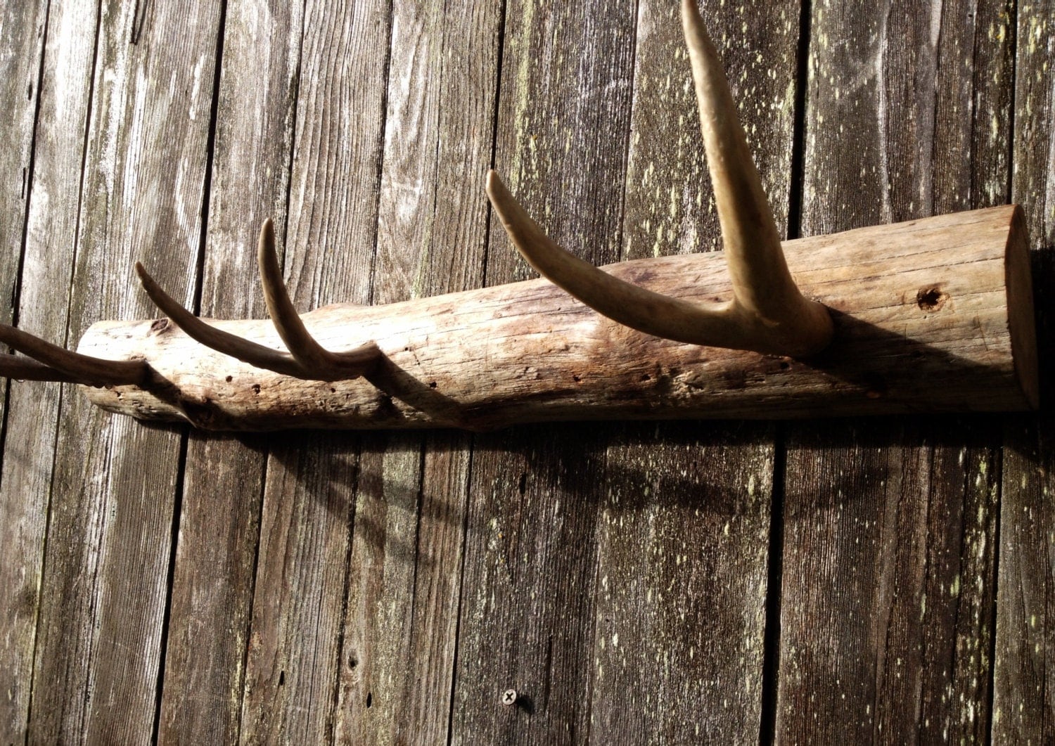 Rustic Coat Rack With Deer Antlers Rustic By Menasrusticdecor