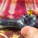 Exltra Large Wrap&Rake pipe with Blue Stardust Over GA White stripes and Yellow Dog