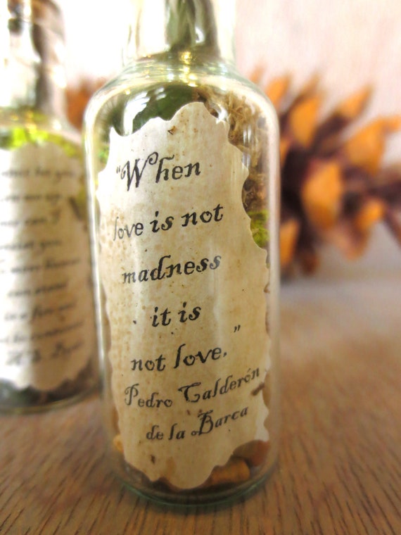 When Love is Not Madness.... Message in a Bottle by FaerieNest