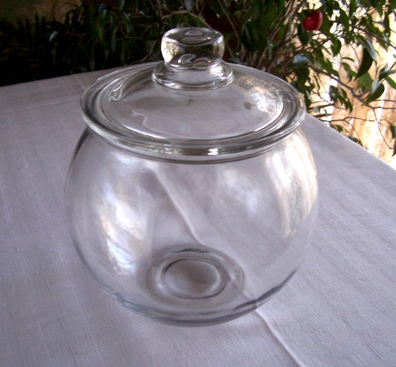 Terrarium glass bowl with lid 6 tall 7 inside