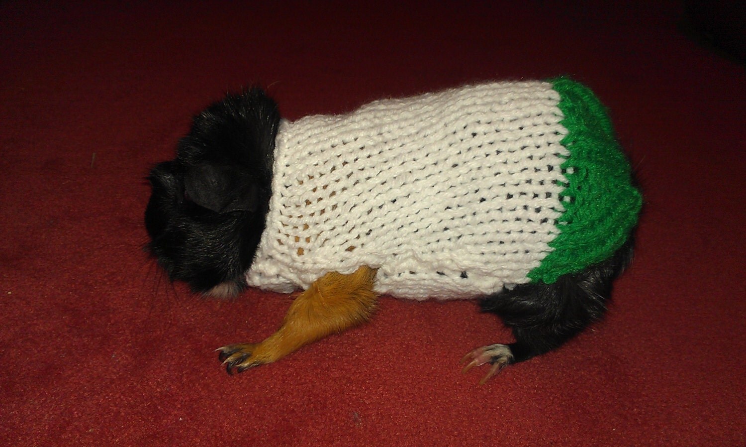 Christmas Hand Knit Guinea Pig Sweater by ChiliDogsPetSweaters