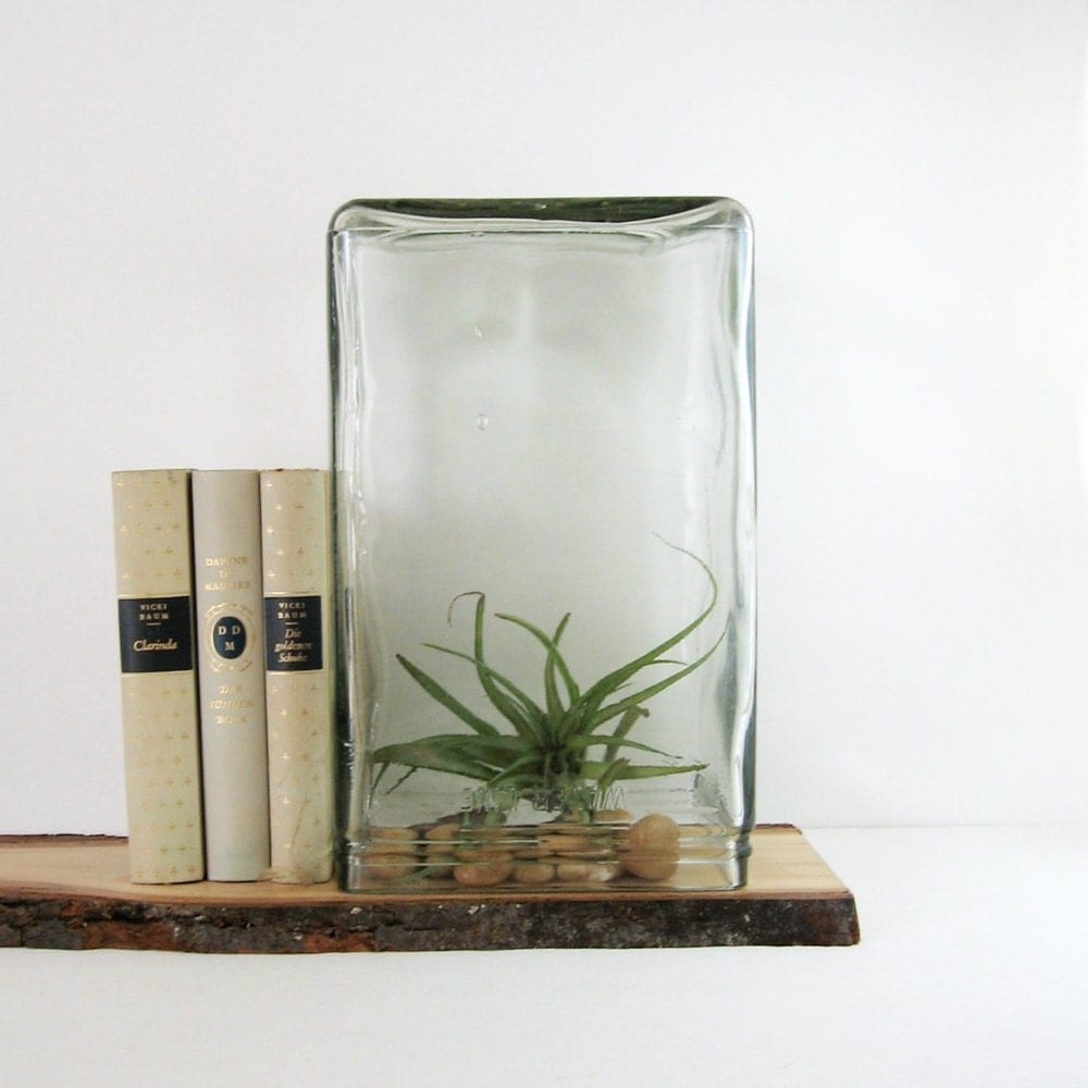 Vintage Glass Battery Jar Industrial Decor Large Terrarium