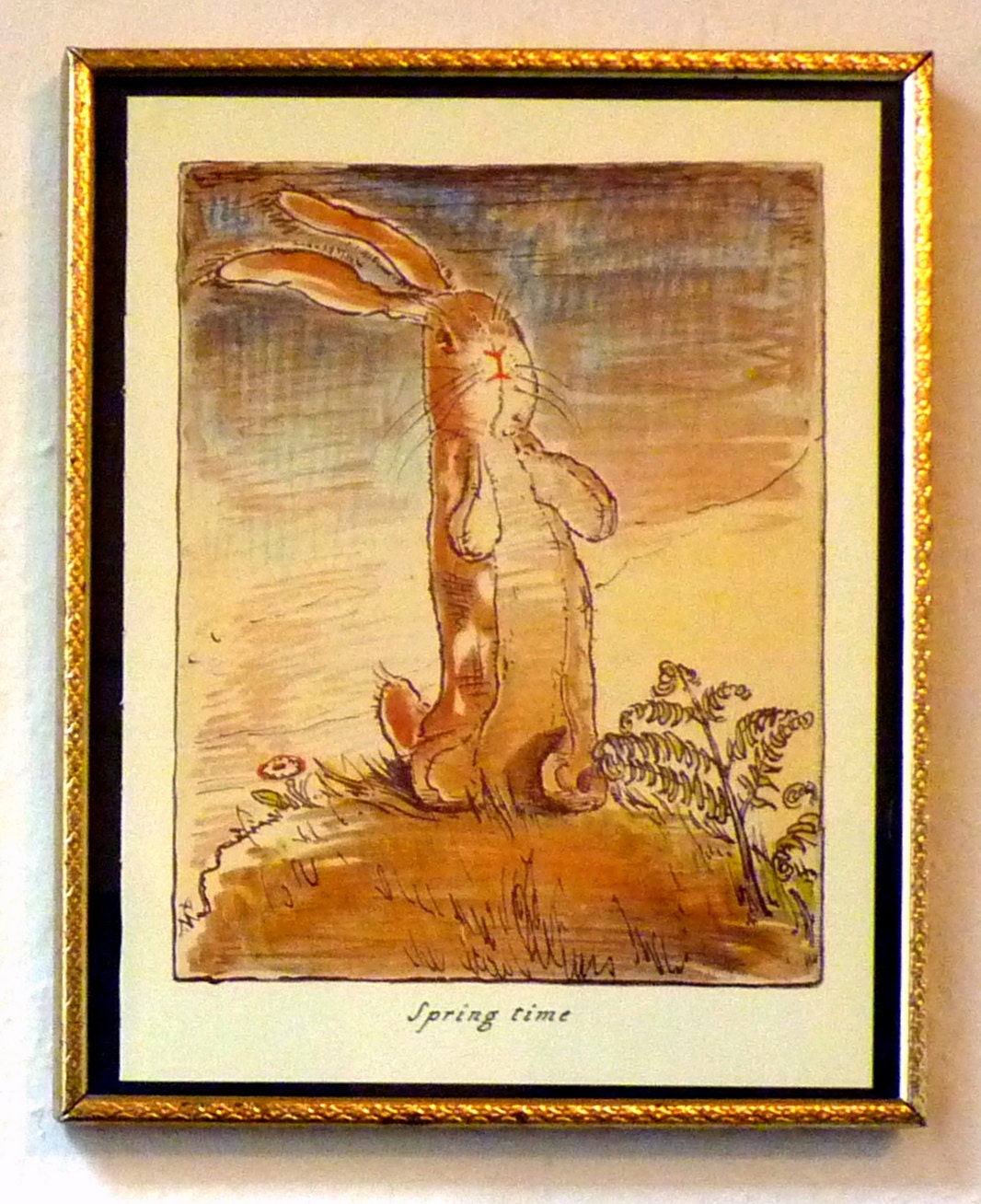 The Velveteen Rabbit Framed Illustration 8 x 11 Spring