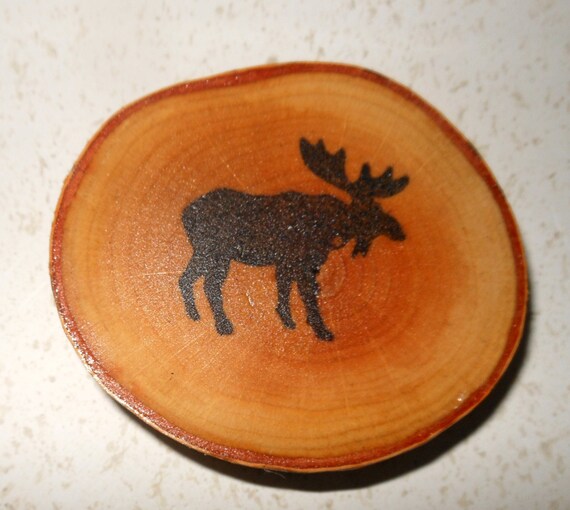 Birch Moose Coasters by marys4everflowers on Etsy