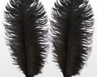 18/20" Black Ostrich Feathers. UK Supplier.