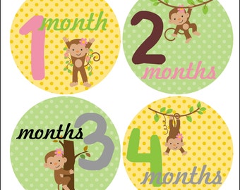 Baby girl monkey monthly bodysuit or t-shirt age stickers - g114