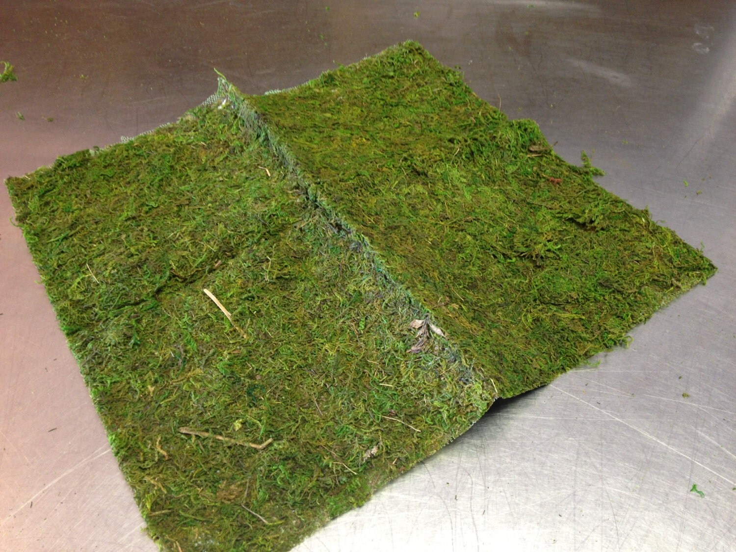 Moss mat 16 in x 18 in Moss Place Mat Moss DIY by PetalandForrest