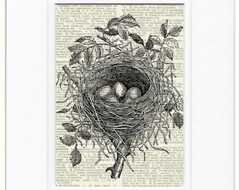 birds nest I dictionary page print