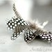 Feather earrings polka dot Guinea Hen feathers wire wrapped in Sterling Silver - Diana