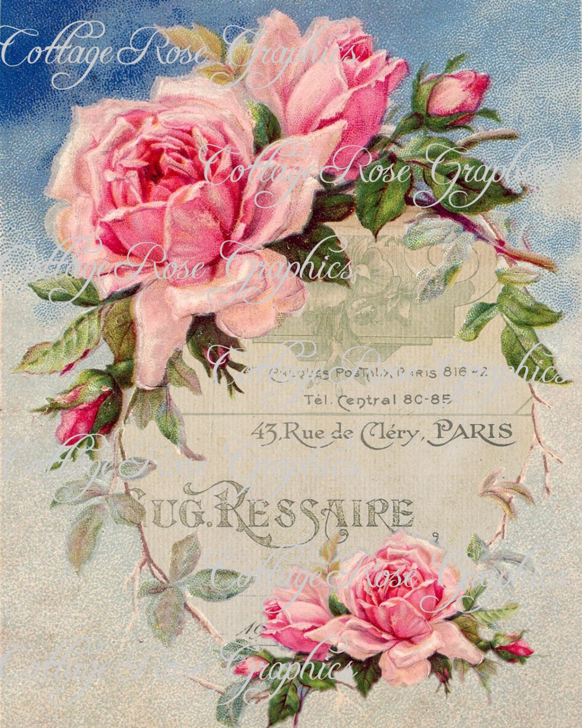 Large digital download Paris Ephemera French pink roses single