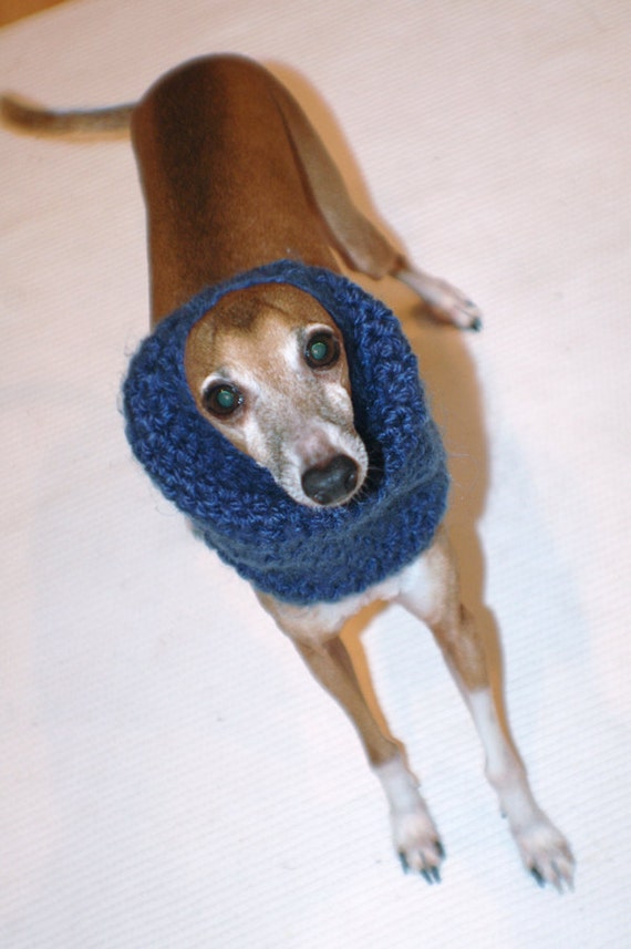 Italian Greyhound Small Dog Snood or Neck Warmer in Midnight
