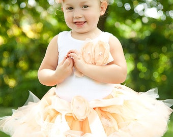 Baby Girls Birthday Tutu Dress, Peach Birthday Dresses for Toddler Girls, Cake Smash Outfit and Birthday Photo Props, Cakesmash Sets