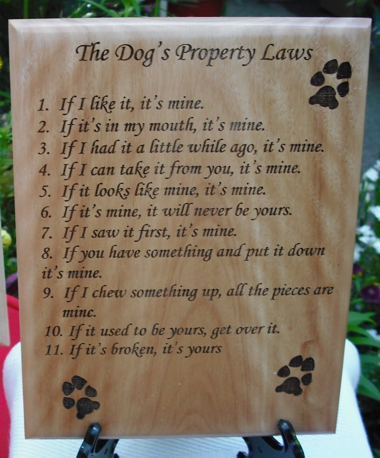The Dogs Property Laws Plaque funny dog