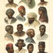 1902 African Race of Human I. Original Antique Chromolithograph to Frame