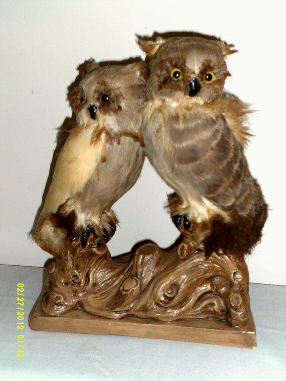 fake taxidermy owl