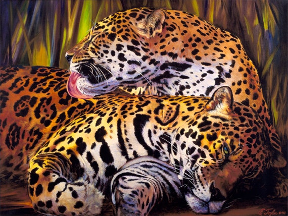 A loving jaguar