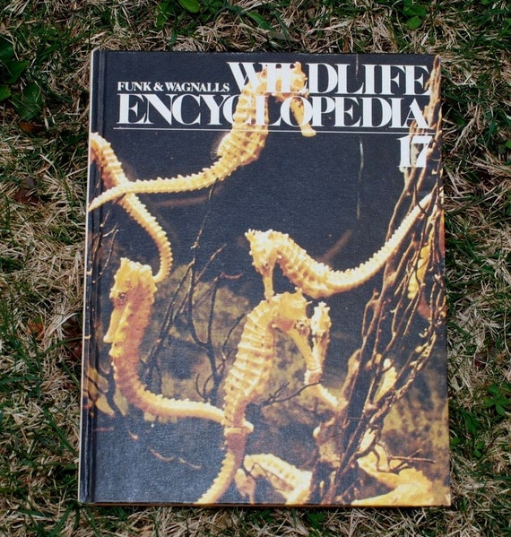 Vintage 70s wildlife encyclopedia zoology by blueapplevintage