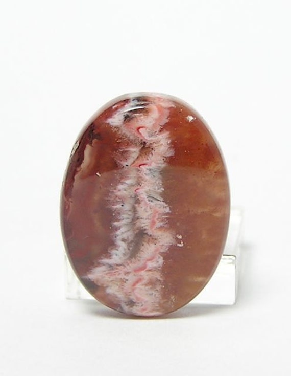 Fossil Coprolite Red Agatized coprolite Oval by FenderMinerals