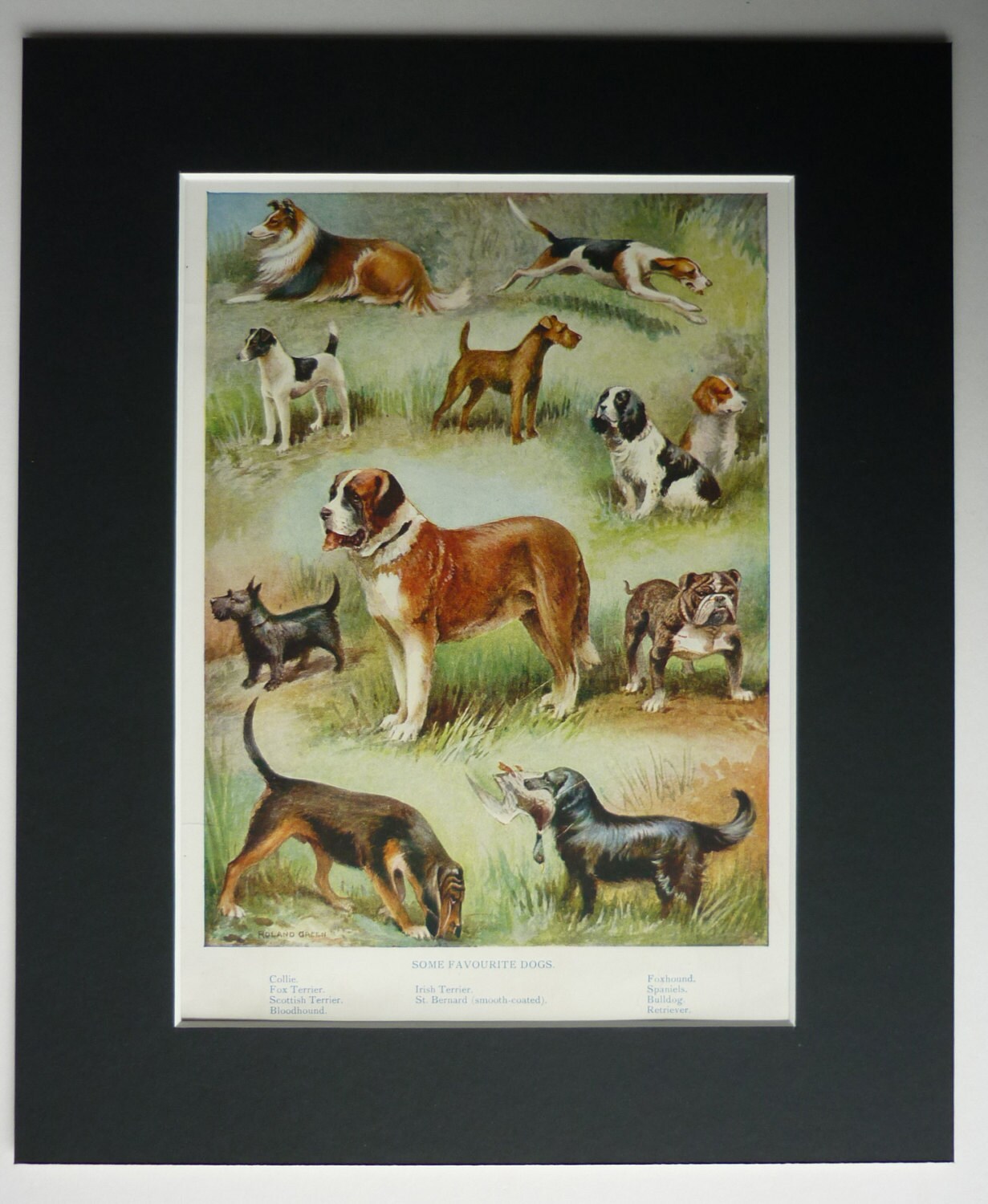 Antique dog print vintage dog art print by PrimrosePrints on Etsy