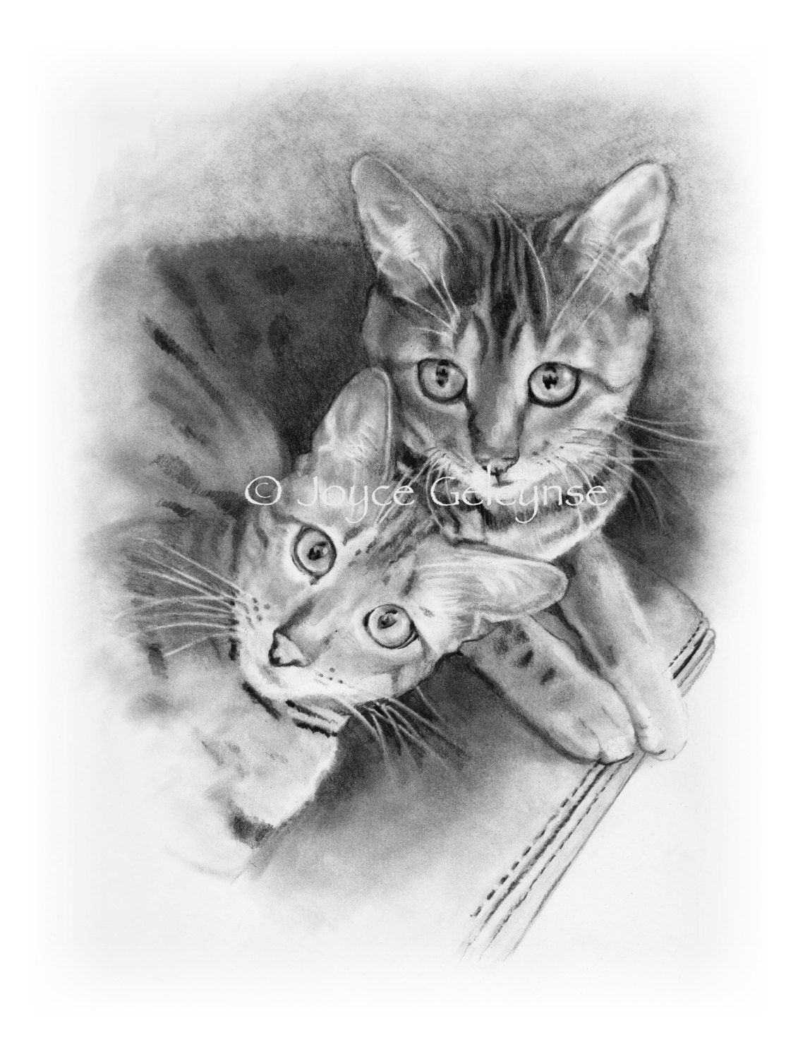 Bengal Cats Pencil Drawing Two Cats Friends Couple Cute