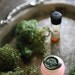 Hedera helix Natural Perfume Sampler, for the Tree Ogham of Ivy - Mossy, green wonderful - vital nature liquid and solid perfume set